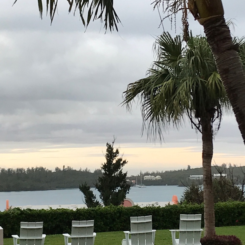 Meet your Posher, J.  5 star seller & fast shipper!  Shop with confidence 😃